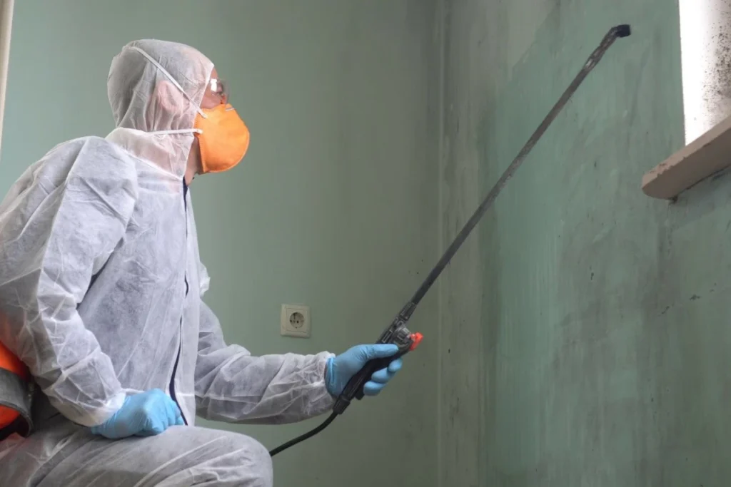 The Risk Of Diy Mold Remediation DIY Mold Remediation - Ogden, UT