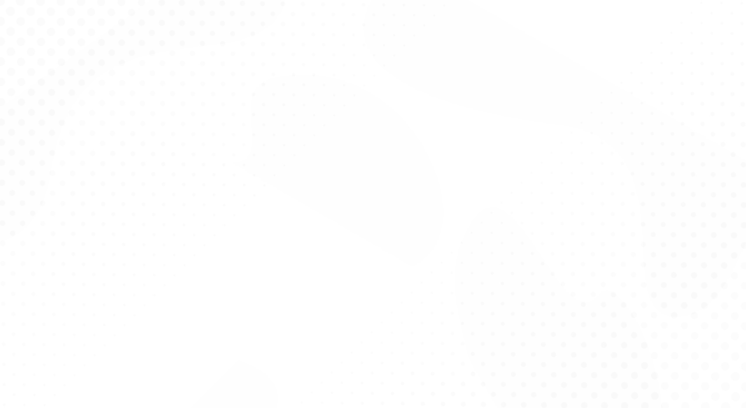 Meet the team
