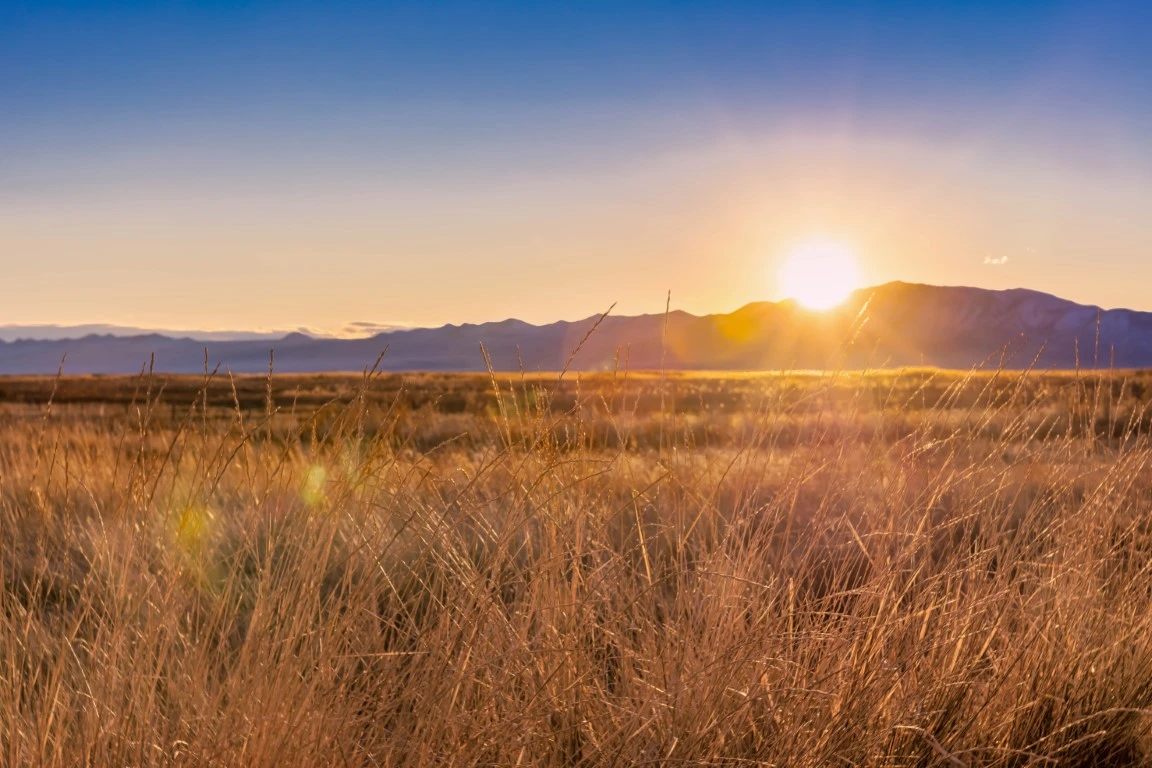 Home Inspector in Layton, UT